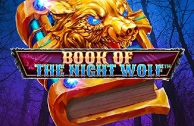 Book of the Night Wolf