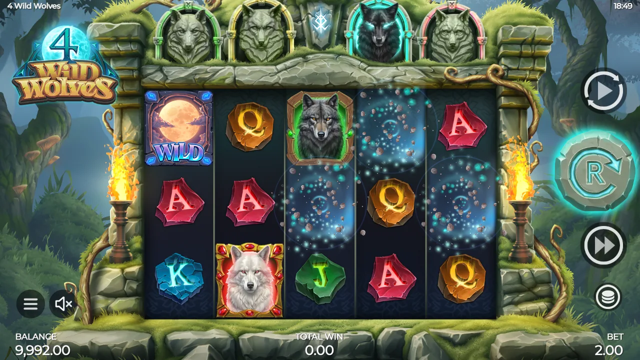4 Wild Wolves